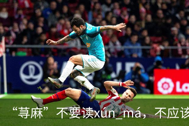“荨麻”不要读xún má，不应该犯这个错!让人笑话!