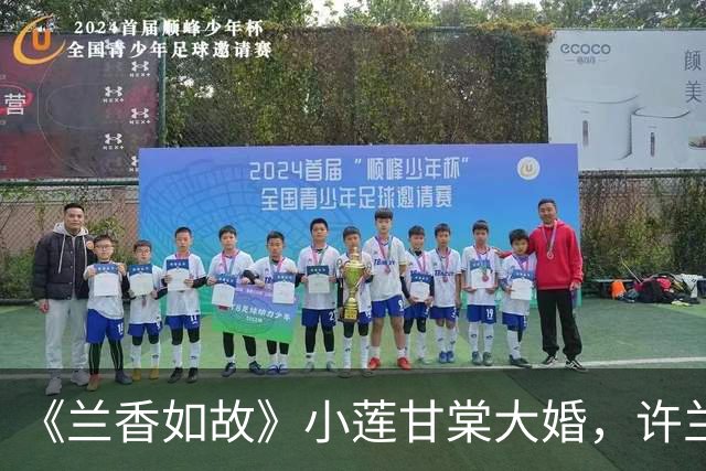 《兰香如故》小莲甘棠大婚，许兰香林锦岐双双缺席，3个原因说明一切