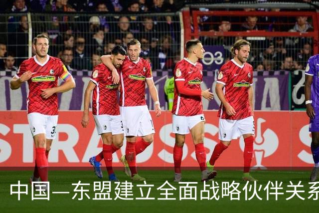 中国—东盟建立全面战略伙伴关系5周年 多领域合作务实推进