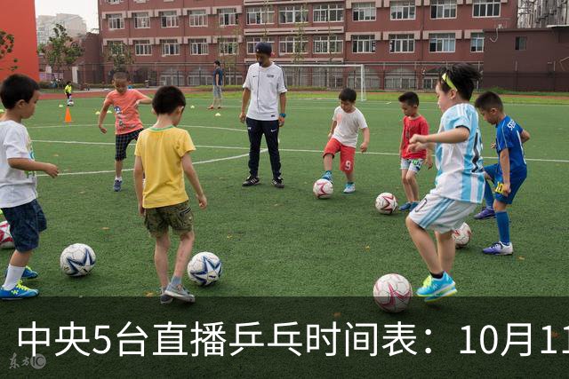 中央5台直播乒乓时间表：10月11日CCTV5节目单 附赛程