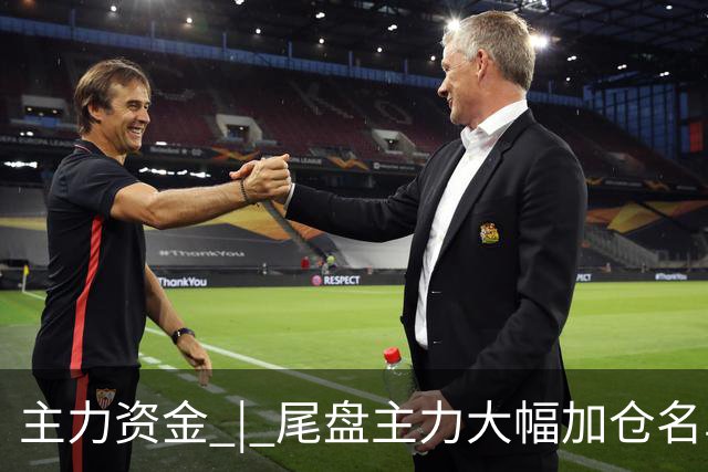 主力资金 | 尾盘主力大幅加仓名单来了
