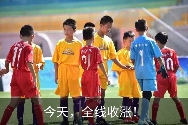 今天，全线收涨！