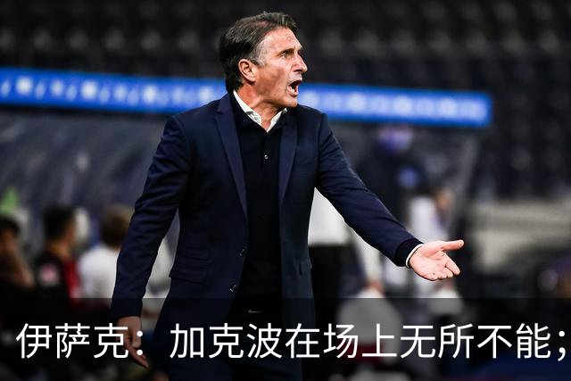 伊萨克：加克波在场上无所不能；瑞典全队都很认可波特