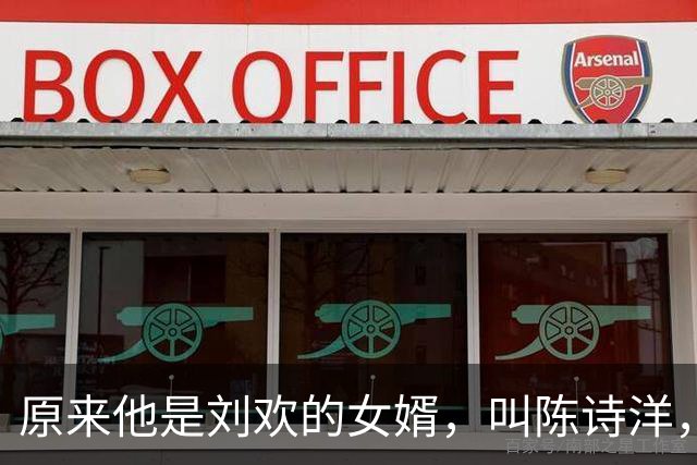 原来他是刘欢的女婿，叫陈诗洋，颜值能力双在线，难怪抱得美人归