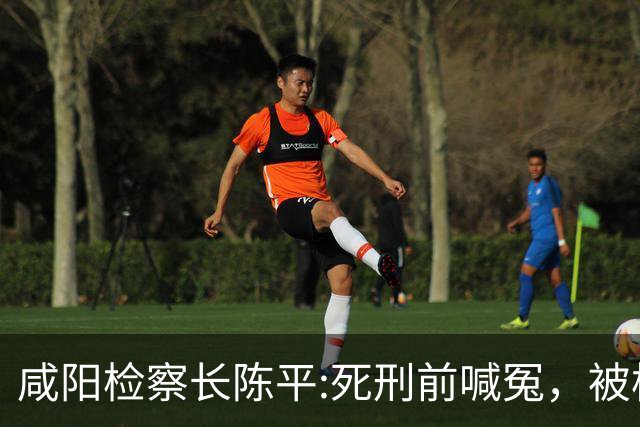 咸阳检察长陈平:死刑前喊冤，被枪毙后家属不能收尸，直接火化