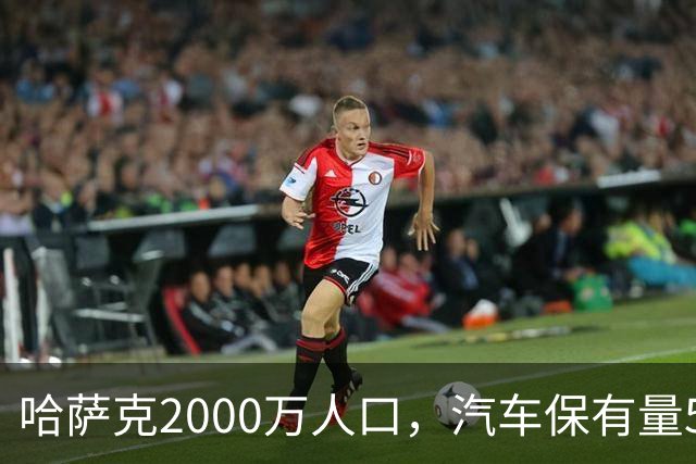 哈萨克2000万人口，汽车保有量540万辆，新疆2600万人有多少？