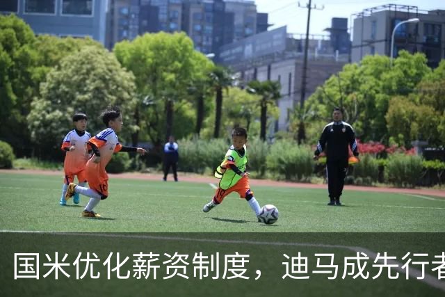国米优化薪资制度，迪马成先行者？两新援上位、三旧将助力！