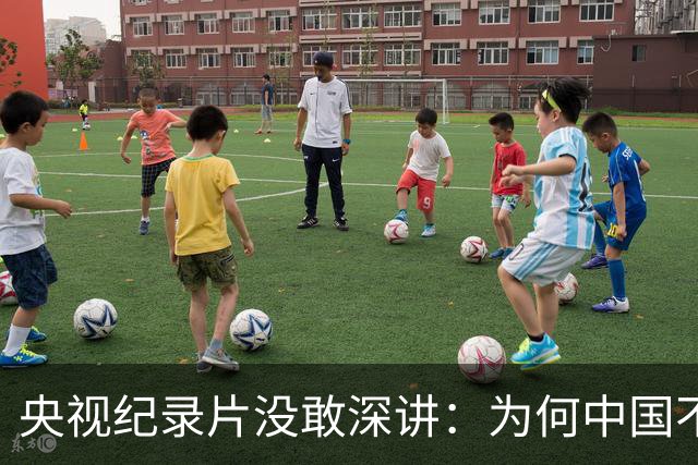 央视纪录片没敢深讲：为何中国不出兵缅北，借同盟军铲平四大家族