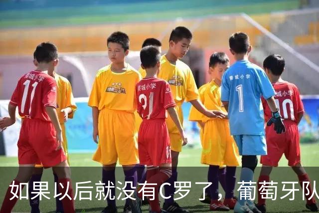 如果以后就没有C罗了，葡萄牙队就能立刻变得更好吗？