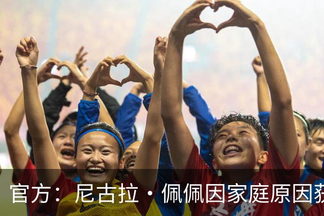 官方：尼古拉·佩佩因家庭原因获准离开科特迪瓦国家队