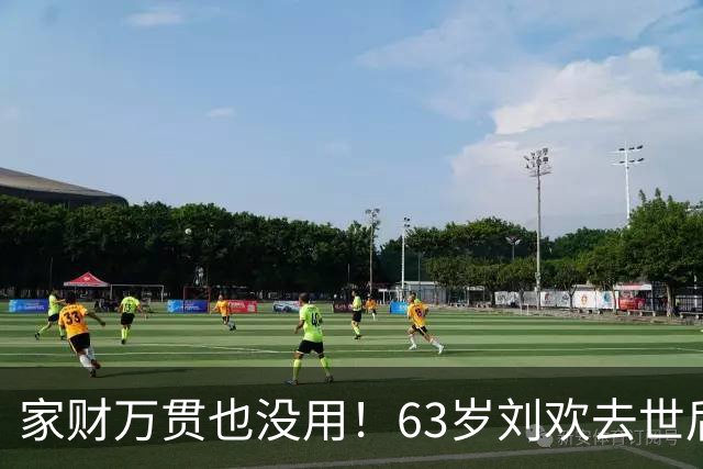 家财万贯也没用！63岁刘欢去世后，妻子处境给我们所有人敲响警钟