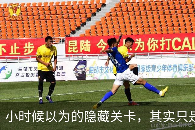 小时候以为的隐藏关卡，其实只是卡带没插好