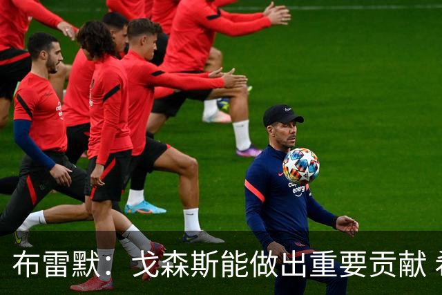 布雷默：戈森斯能做出重要贡献 希望他成为首发