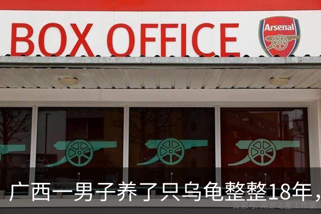 广西一男子养了只乌龟整整18年，带去市场估价，老板一看手都抖了