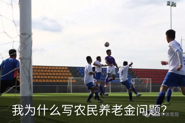 我为什么写农民养老金问题？