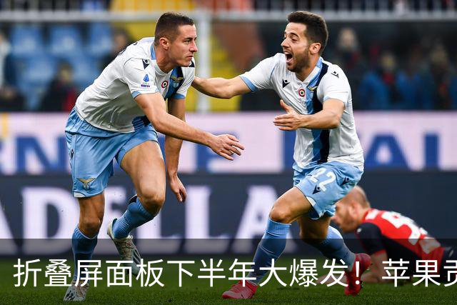 折叠屏面板下半年大爆发！苹果贡献全年27%份额