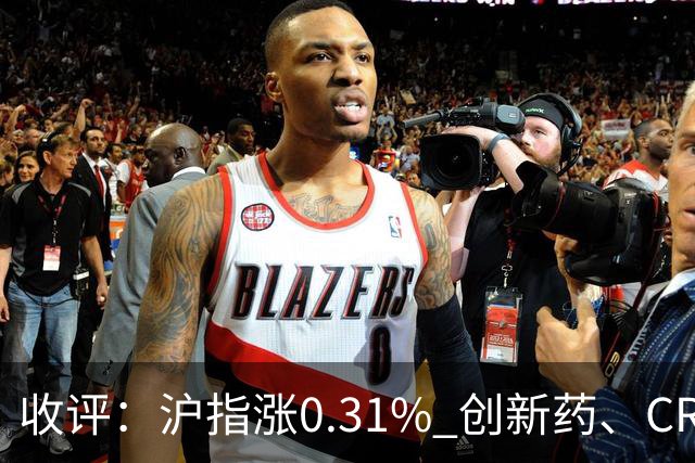 收评：沪指涨0.31% 创新药、CRO概念走强