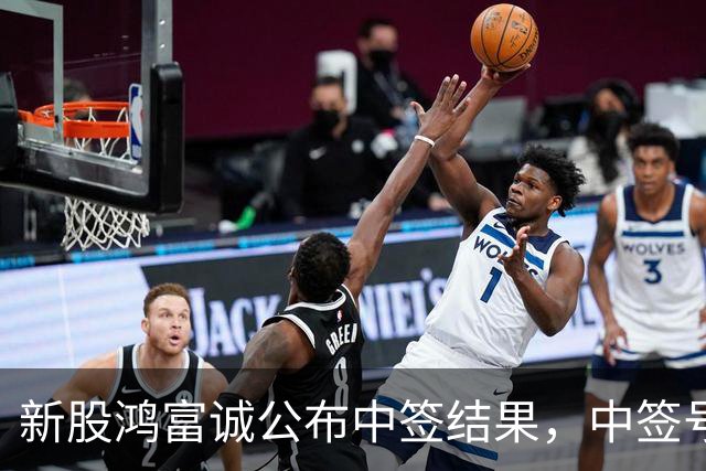 新股鸿富诚公布中签结果，中签号码仅1.31万个，股民中了注定吃大肉！