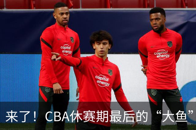 来了！CBA休赛期最后的“大鱼”，或被广东上海等多队疯抢？