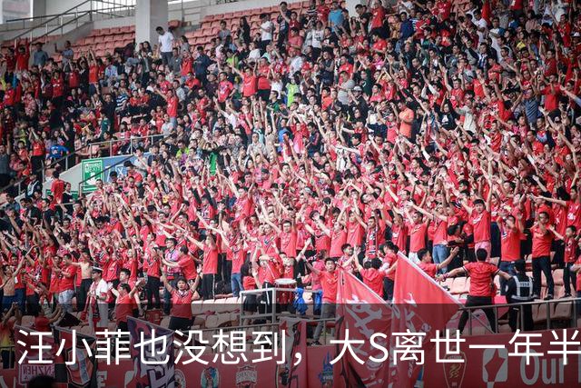 汪小菲也没想到，大S离世一年半，小S竟因一个举动，实现口碑暴增