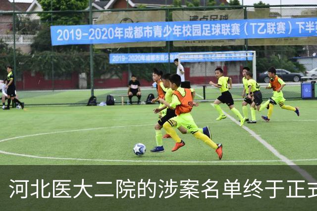 河北医大二院的涉案名单终于正式公布