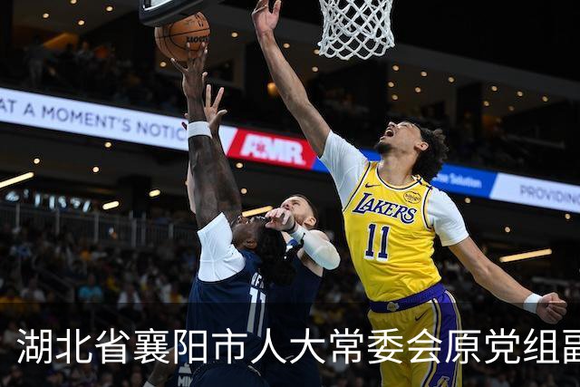 湖北省襄阳市人大常委会原党组副书记肖勇被双开