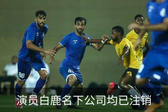 演员白鹿名下公司均已注销