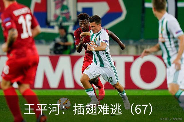 王平河：插翅难逃（6/7）