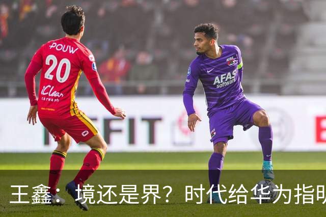 王鑫：境还是界？时代给华为指明了方向