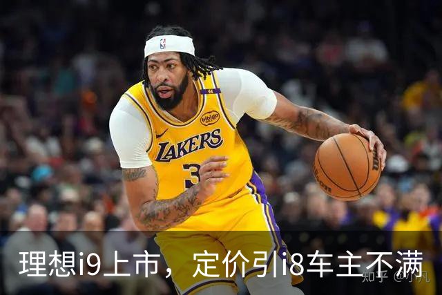 理想i9上市，定价引i8车主不满