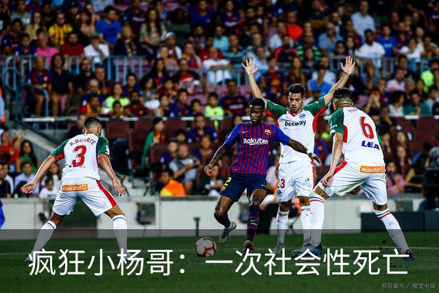疯狂小杨哥：一次社会性死亡