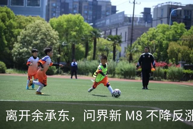 离开余承东，问界新 M8 不降反涨，凭什么？