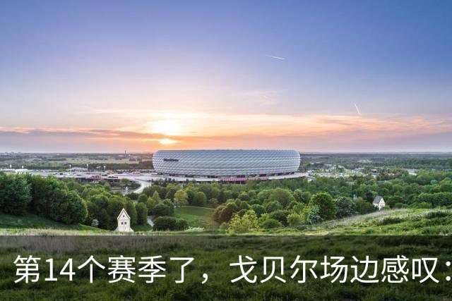 第14个赛季了，戈贝尔场边感叹：时间过得太快了