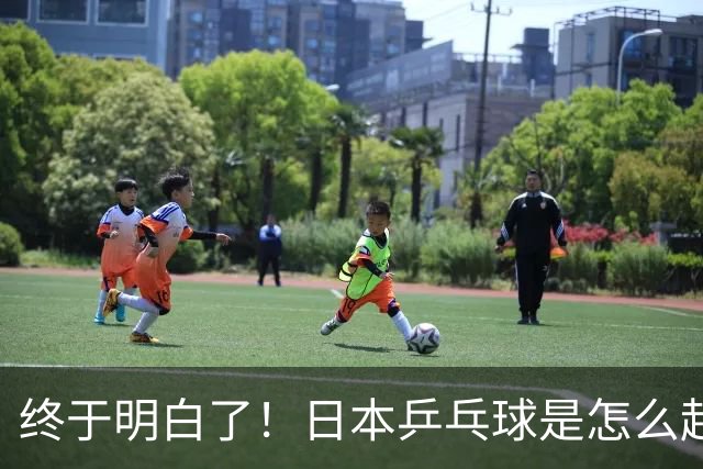 终于明白了！日本乒乓球是怎么起来的了！