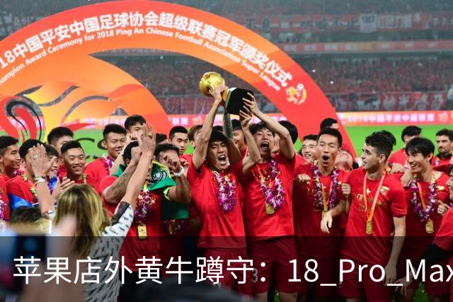 苹果店外黄牛蹲守：18 Pro Max加价500，18 Pro遭冷落