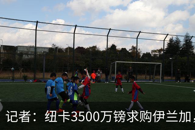 记者：纽卡3500万镑求购伊兰加，遭森林拒绝