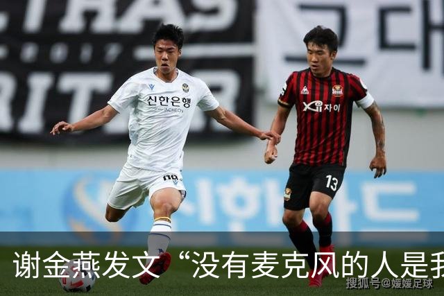 谢金燕发文“没有麦克风的人是我”，刘雨昕回应：感谢Jeannie姐的信任
