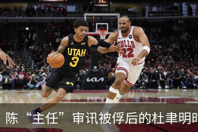 陈“主任”审讯被俘后的杜聿明时，被杜聿明反问：你是陈毅将军？