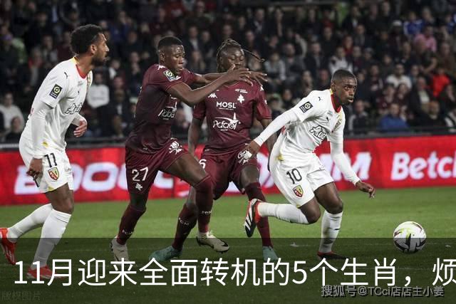 11月迎来全面转机的5个生肖，烦心事慢慢消失，财富爱情接连落地