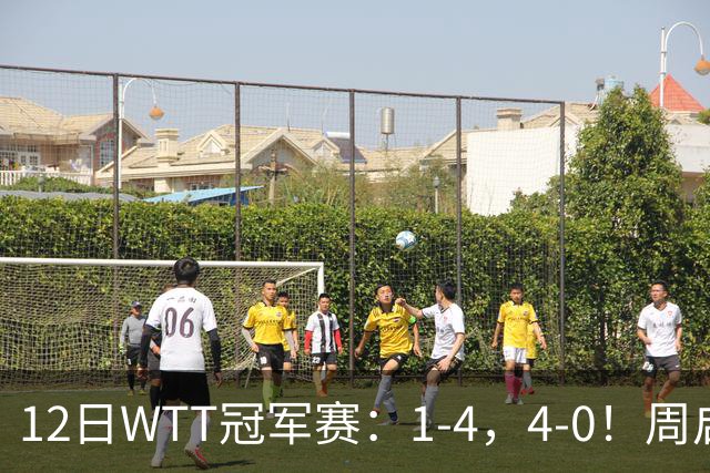 12日WTT冠军赛：1-4，4-0！周启豪被淘汰，陈熠剃光头，决战早田