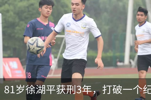 81岁徐湖平获刑3年，打破一个纪录！