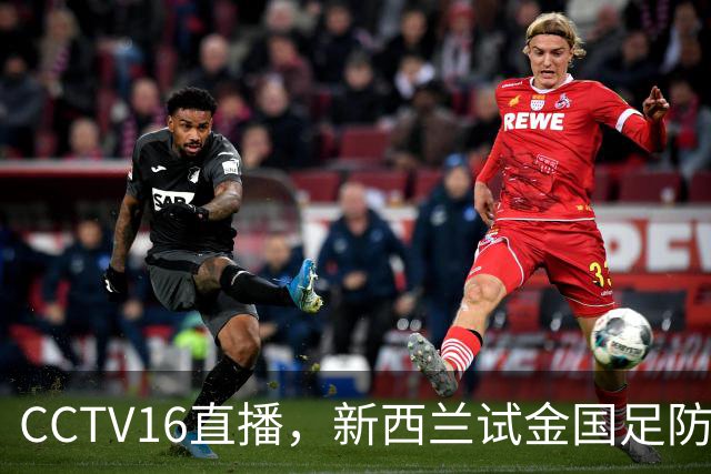 CCTV16直播，新西兰试金国足防线，黄晟豪有望首秀，赵松源争取进一个