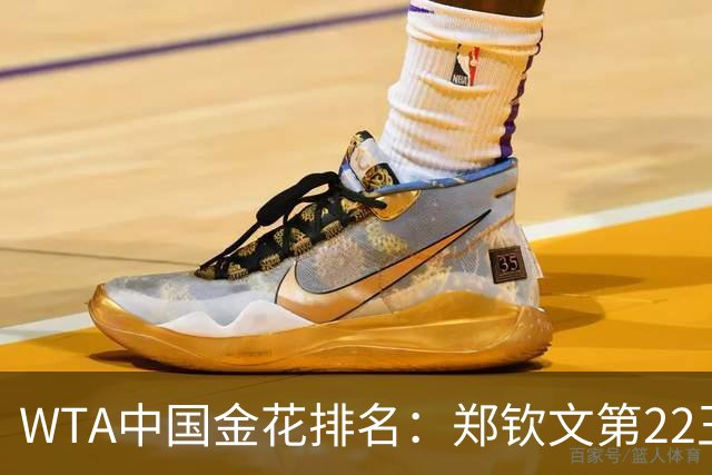 WTA中国金花排名：郑钦文第22王欣瑜第39 郭涵煜飙升51名